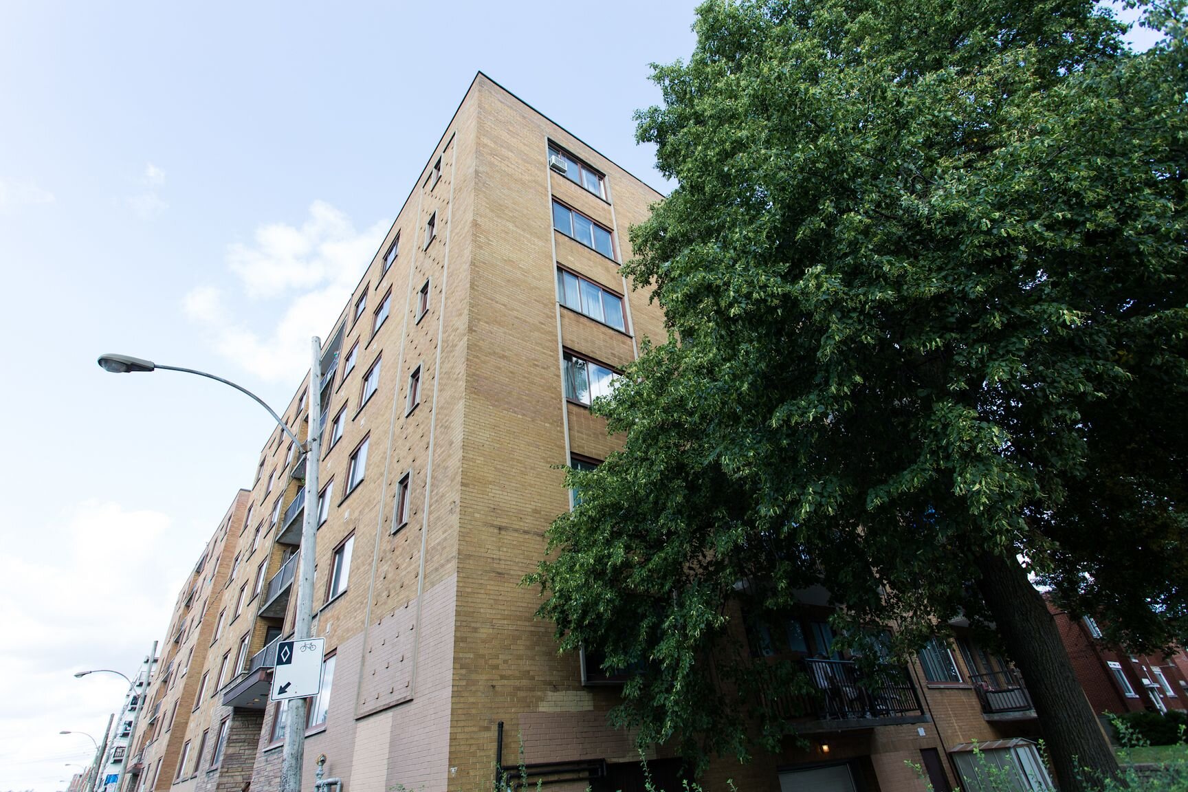 Top Image