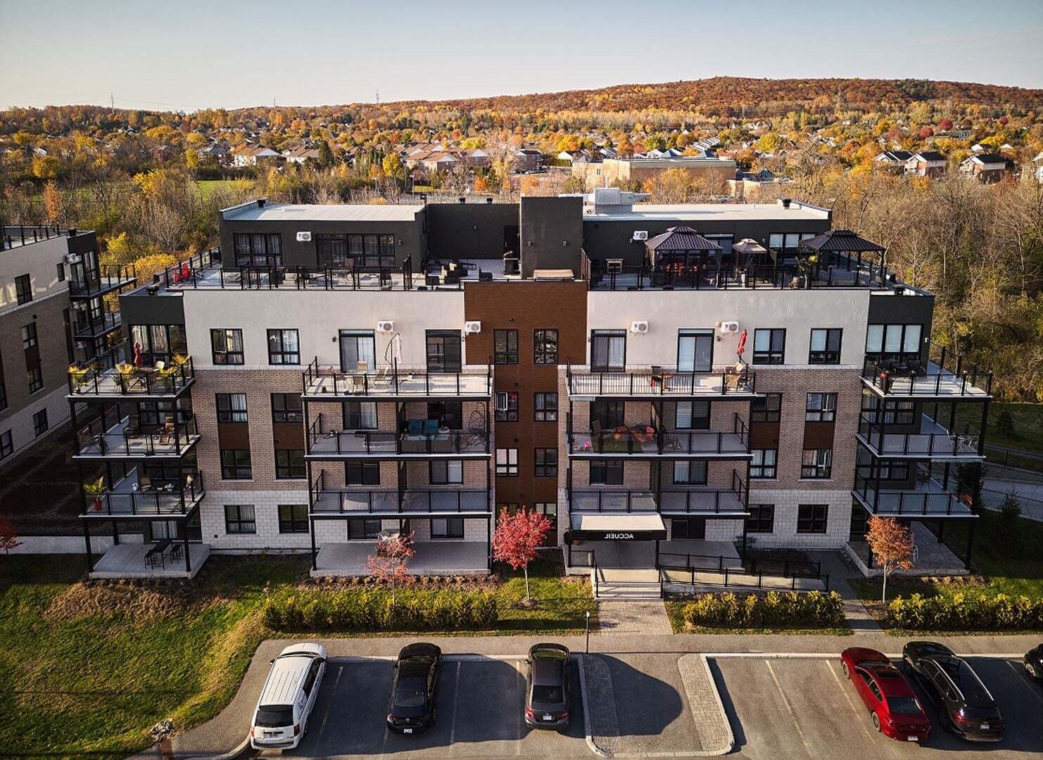 Top Image