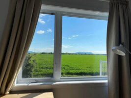 Appartement 5½ - 18405 avenue Saint-Louis, Saint-Hyacinthe