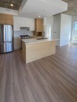Appartement 4½ - 1201 rue de la Famille-Dubreuil, Rivière-des-Prairies/Pointe-aux-Trembles (Montréal)