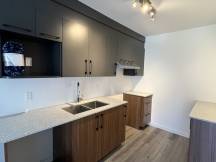 Appartement   4½- 915 rue Walsh, Fleurimont (Sherbrooke)