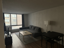 Appartement 3½ - 3600 avenue du parc , Ville-Marie (Centre-Ville, Vieux-Montréal)