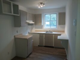 Appartement 4½ - 1632 rue De Champlain, Mercier/Hochelaga-Maisonneuve (Montréal)