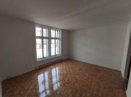 Appartement 4½ - 1590 rue Logan, Ville-Marie (Centre-Ville, Vieux-Montréal)
