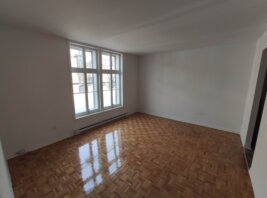 Appartement 4½ - 1590 rue Logan, Mercier/Hochelaga-Maisonneuve (Montréal)