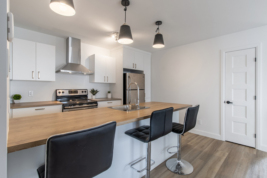 Appartement  - Rue Saindon, Les Chutes-de-la-Chaudière-Ouest (Lévis)
