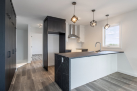 Appartement  - Av. Albert Rousseau, Les Chutes-de-la-Chaudière-Ouest (Lévis)