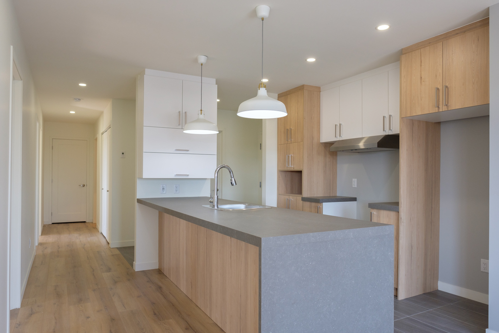 Appartement   4½- 2810 rue de Coutances, Desjardins (Lévis)