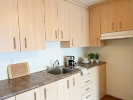 Appartement 4½ - 180 rue Hocquart, app. 9, Mont-Bellevue (Sherbrooke)