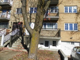 Appartement 4½ - 7369 Boul. Roi-René, Anjou (Montréal)