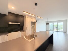 Appartement 3½ - 3900 Boulevard Guillaume-Couture, Les Chutes-de-la-Chaudière-Ouest (Lévis)