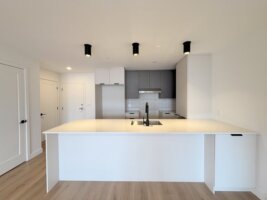 Appartement 4½ - 5360 Boulevard Guillaume Couture, Les Chutes-de-la-Chaudière-Ouest (Lévis)
