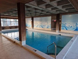 Appartement 1½ - 1411 Rue du Fort, Ville-Marie (Centre-Ville, Vieux-Montréal)