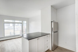 Appartement 1½ - 105 Rue Milton, Montréal, QC H2X 1V4, Le Plateau-Mont-Royal (Montréal)