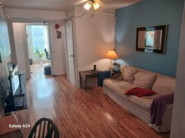 Appartement 5½ - rue chapleau, Rosemont/La Petite-Patrie (Montréal)