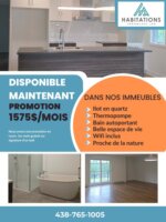 Appartement 4½ - 600 rue Cadieux, Mont-Tremblant