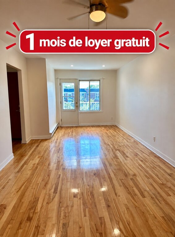 Appartement   5½- rue Baldwin, Mercier/Hochelaga-Maisonneuve (Montréal)