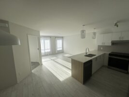 Appartement 4½ - 6805 rue de Champagnier, Brossard