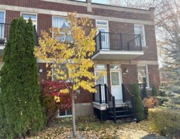 Appartement 3½ - 6196 rue Bannantyne, Verdun/Île-des-Soeurs (Montréal)