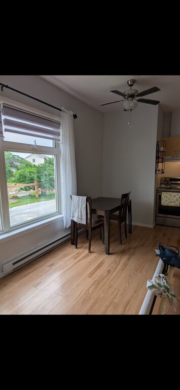 Appartement & Condo 
                2½- 151 rue principale ouest, Saint-Anaclet-de-Lessard