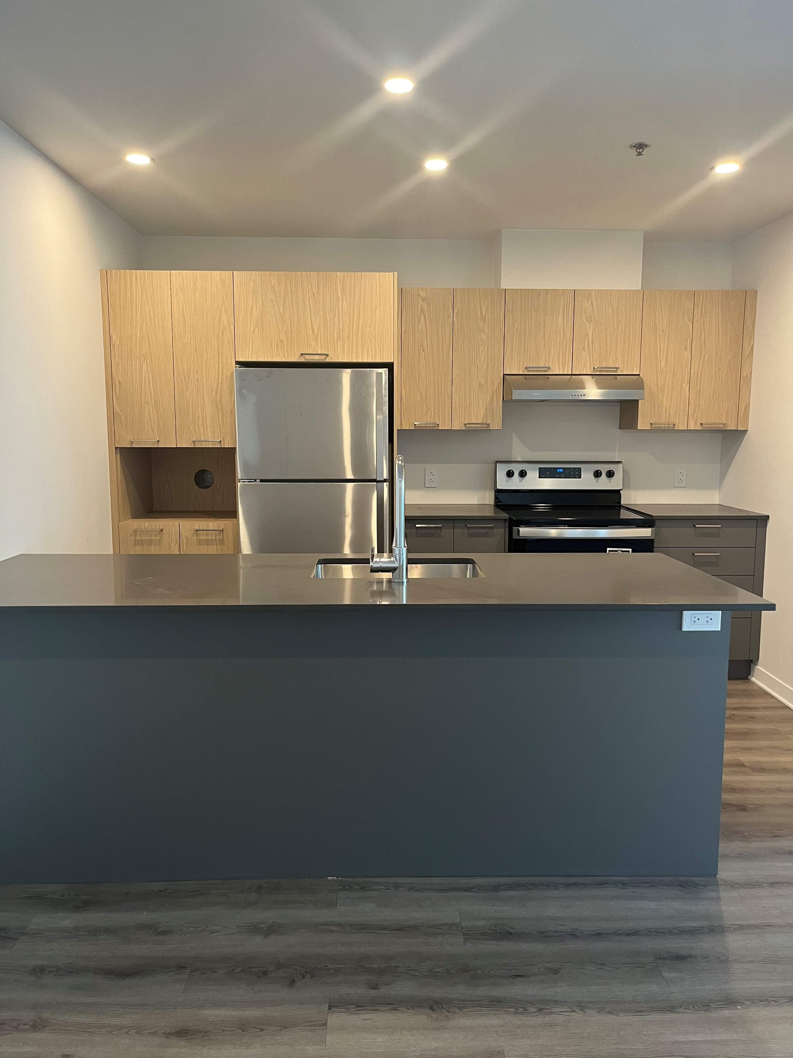 Appartement   4½- 900 Boulevard Lucille-Teasdale Terrebonne  , Lachenaie (Terrebonne)