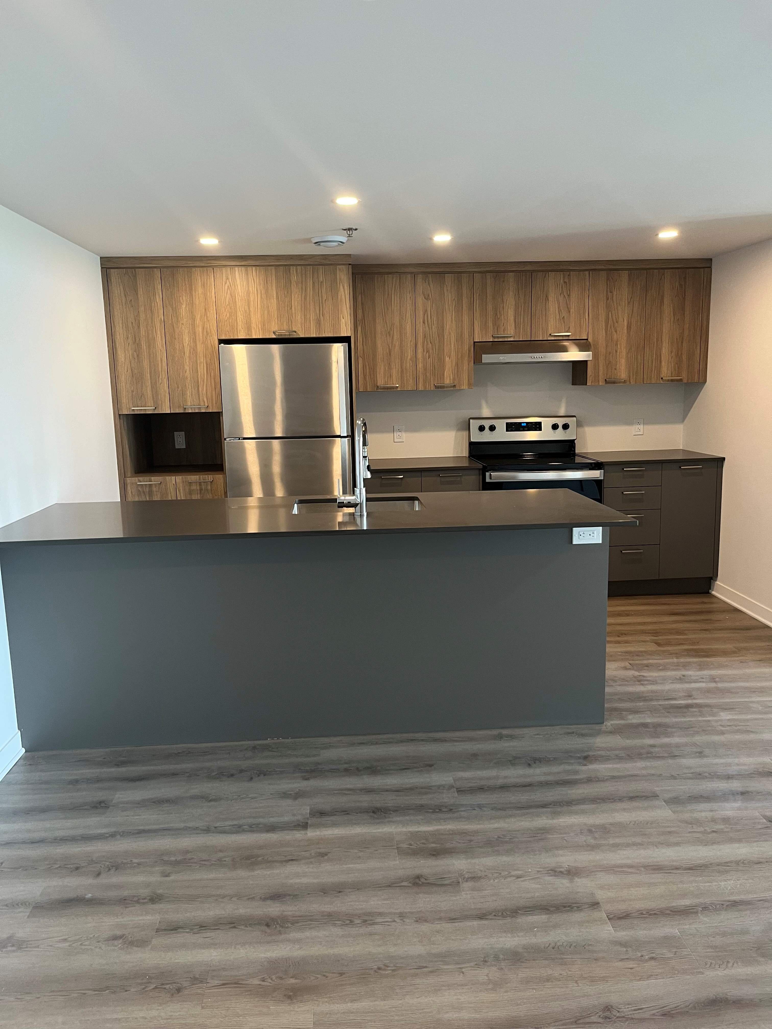 Appartement   4½- 900 Boulevard Lucille-Teasdale Terrebonne  , Lachenaie (Terrebonne)