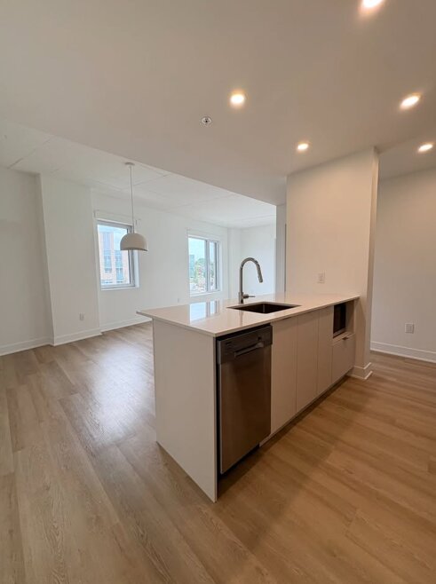 Appartement 
                4½- 4500 Rue Hochelaga Montréal  H1V 3N8 , Mercier/Hochelaga-Maisonneuve (Montréal)