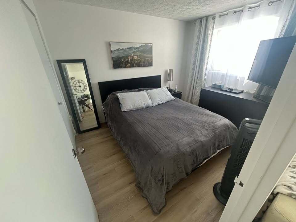 Top Image