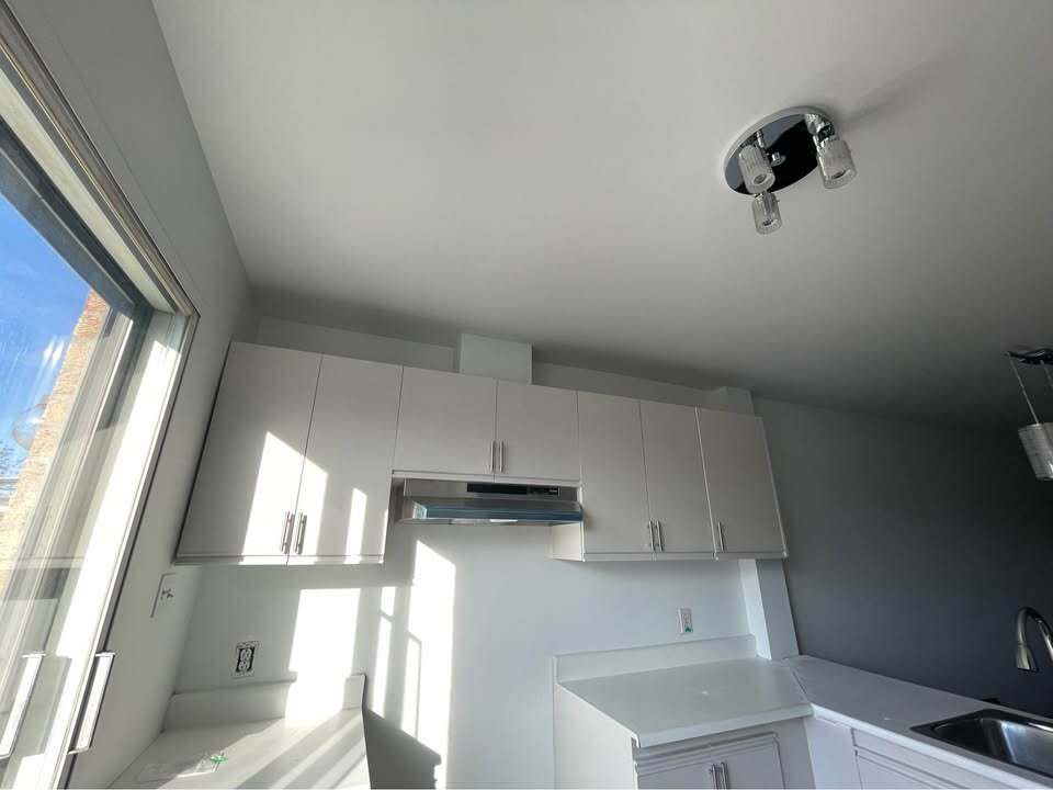 Appartement   5½- rue tellier, Mercier/Hochelaga-Maisonneuve (Montréal)