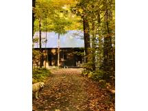 House into the woods, in maple grove
 thumbnail 31