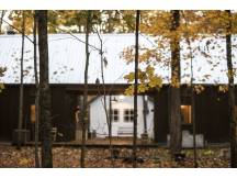 House into the woods, in maple grove
 thumbnail 39