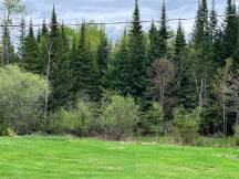 Enjoy a huge wooded plot of + 100 acres
 thumbnail 33