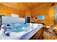 Chalet Experience Spa in Charlevoix
 thumbnail 28