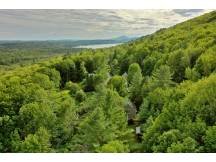 A haven of peace with 25 acres of forest
 thumbnail 31