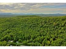 A haven of peace with 25 acres of forest
 thumbnail 33