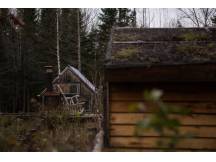 Guesthouse in an Agro-Forestry Farm
 thumbnail 25