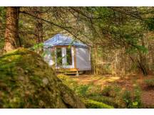 Yurt in the forest - The Foyer
 thumbnail 0