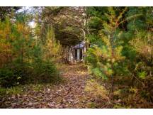 Yurt in the forest - The Foyer
 thumbnail 25