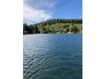 Serenity Lane –au bord du lac magical/remote work
 thumbnail 40