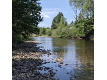 Chalet de la rivière Matigouche  *WIFI disponible
 thumbnail 32