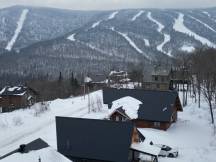 Le Goathouse | Spa et Ski | Chalet en montagne
 thumbnail 32