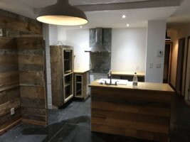 Appartement 4½ - 103 Avenue Beaumont, Rosemont/La Petite-Patrie (Montréal)