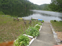 Propriété au bord d'un lac à Chertsey
 thumbnail 5